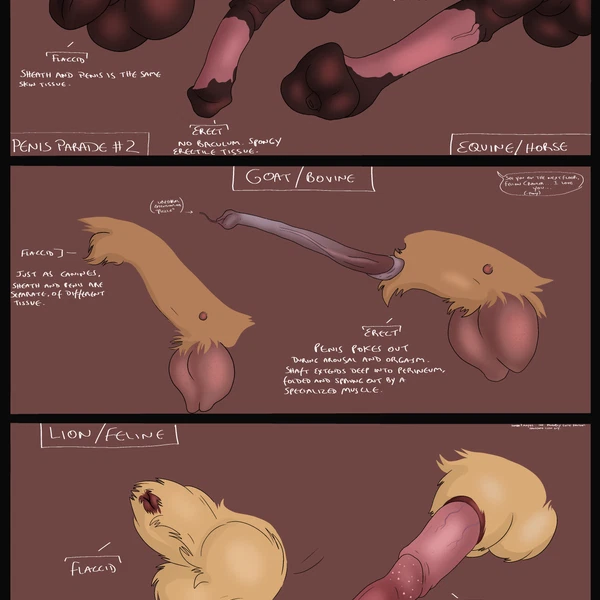 Created By Gthusky