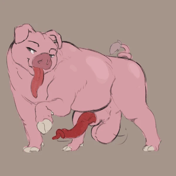 Created By Nib-Roc