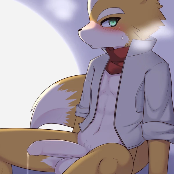 Fox Mccloud (Nintendo, Star Fox) Created By Hane