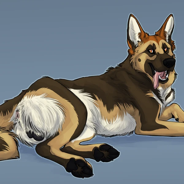 North Shepherd Created By Hybernation