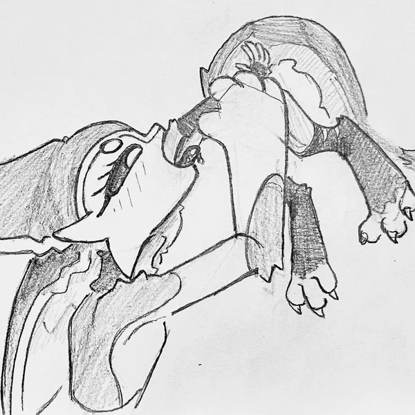 Rii (Rii1040) Created By Rii1040