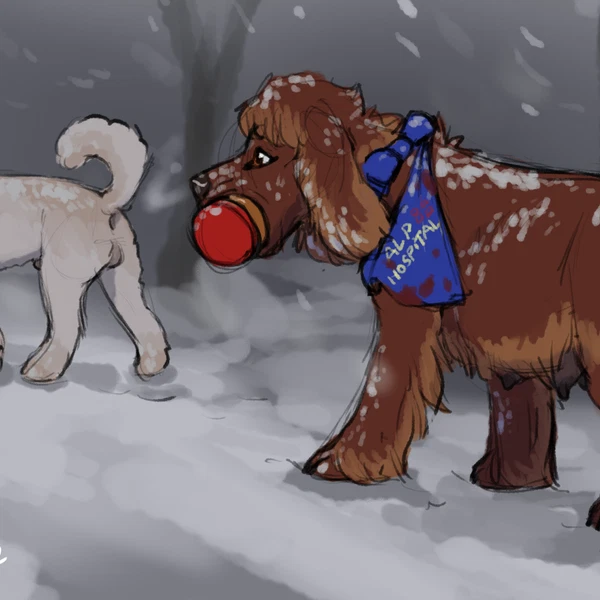 The Good Dog Chasing Shadows Created By Folvondusque